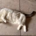 Photo of Yuki