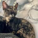 Photo of Luna