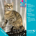 Photo of Alf & Astrid 2 For 1 Mum & Bubs Deal!