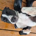 Photo of Lilly