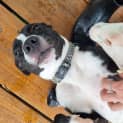 Photo of Lilly