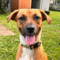 Photo of Ivy
