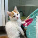 Photo of Issac