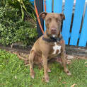 Photo of Maeve