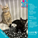 Photo of Alf & Astrid 2 For 1 Mum & Bubs Deal!