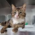 Photo of Mr Bojangles