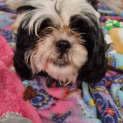 Photo of Rupert