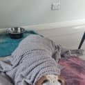Photo of Milo