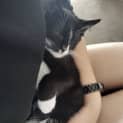 Photo of Megami