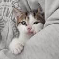 Photo of Boots