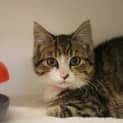 Photo of Esme