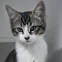 Photo of Mercy