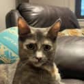 Photo of Eris