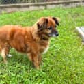 Photo of Lilly