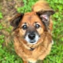 Photo of Lilly