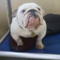 Photo of Tank