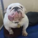 Photo of Tank
