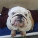Photo of Tank