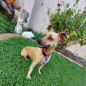 Photo of Connie