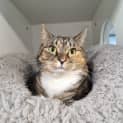 Photo of Angel