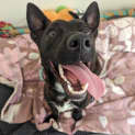 Photo of Zeus