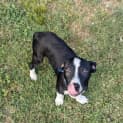 Photo of Ernie