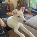 Photo of Yuki π΅