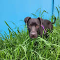 Photo of Axel