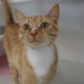 Photo of Sugar
