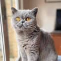 Photo of Susan