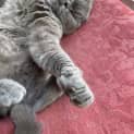 Photo of Susan
