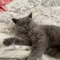 Photo of Susan
