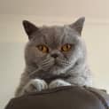 Photo of Susan