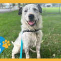Photo of Sully