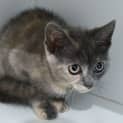 Photo of Promise