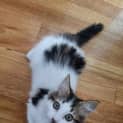 Photo of Raspberry
