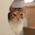 Photo of Kari