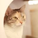 Photo of Kari