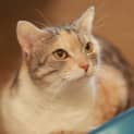 Photo of Kari