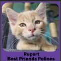 Photo of Rupert