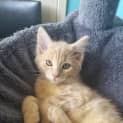Photo of Rupert
