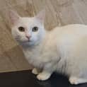 Photo of Snowy