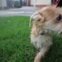 Photo of Snookie