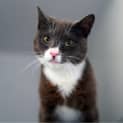 Photo of Reginald