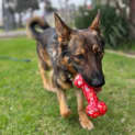 Photo of Lucy