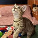 Photo of Betsy