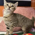 Photo of Betsy