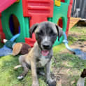 Photo of Morticia