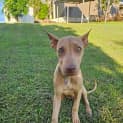 Photo of Hazel