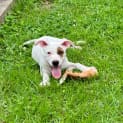 Photo of Winnie